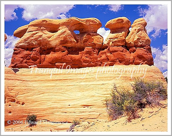 450400   Rabbits in Devils Garden, Escalante Utah 